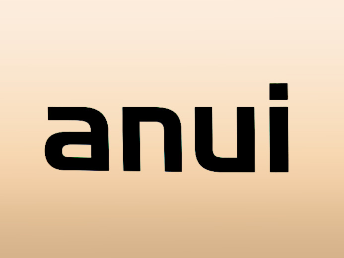 ANUI | Corporate und Print Design